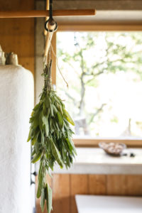 A bouquet of leaves of garden sage (Salvia officinalis) hanging on a tiled stove to dry A bouquet of leaves of garden sage (Salvia officinalis) hanging on a tiled stove to dry